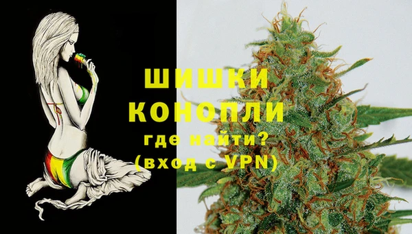 дживик Магас