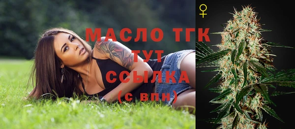 дживик Магас