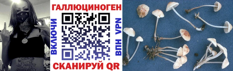 Галлюциногенные грибы Magic Shrooms Апшеронск